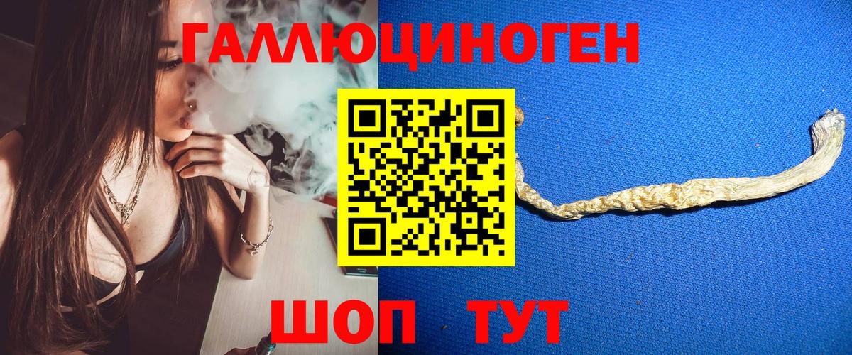 Псилоцибиновые грибы Cubensis Лесозаводск