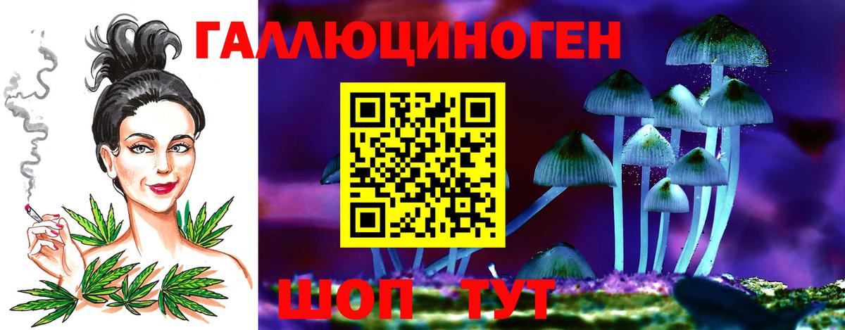 Галлюциногенные грибы Cubensis  Псилоцибиновые грибы Psilocybe  Вход с VPN  Лесозаводск 