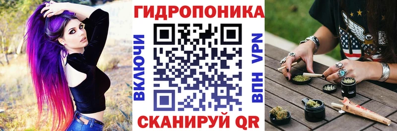 Шишки марихуана Ganja  где можно купить   Лесозаводск 